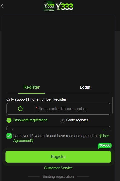 y333 game