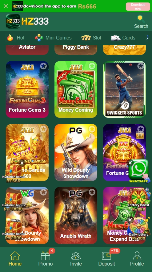 hz333 game