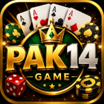 PAK14 Game is an online gaming platform that may provide different gaming and entertainment options for users